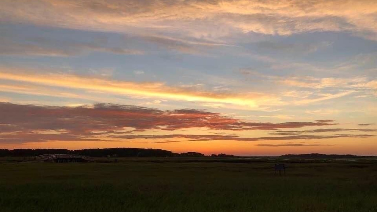 Photo of Others in Wellfleet