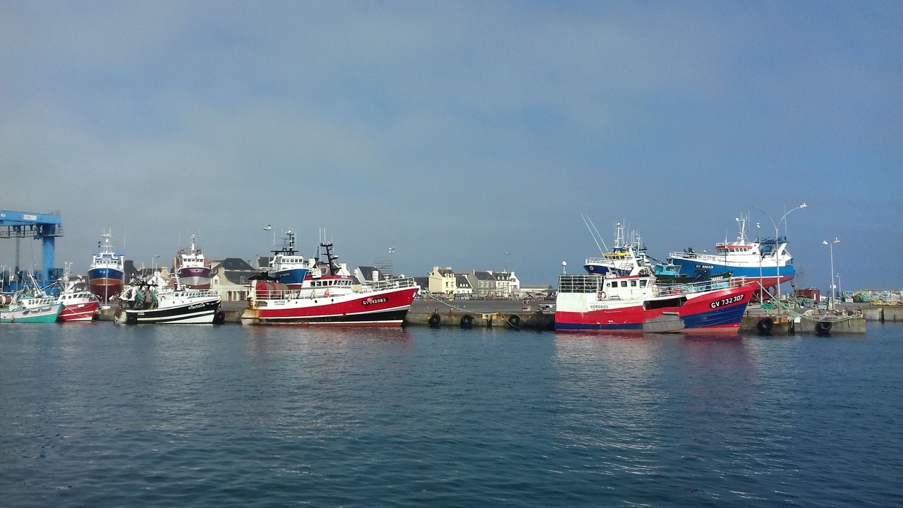 Photo of Others in Treffiagat