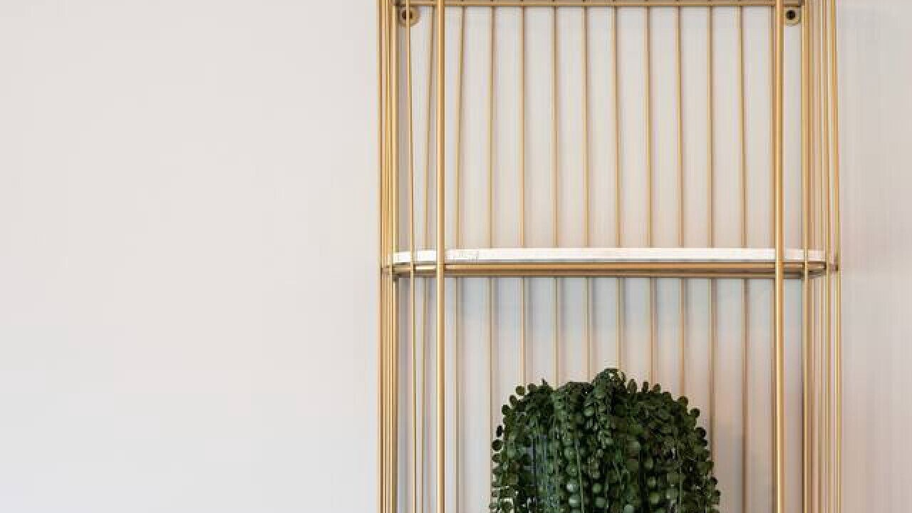 Photo of Others in Plainville