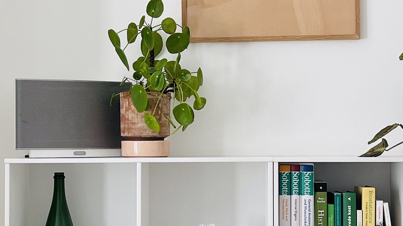 Photo of Others in Osterbro