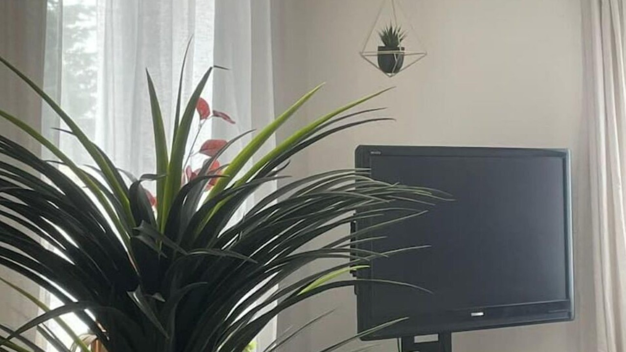 Photo of Others in Guesnain