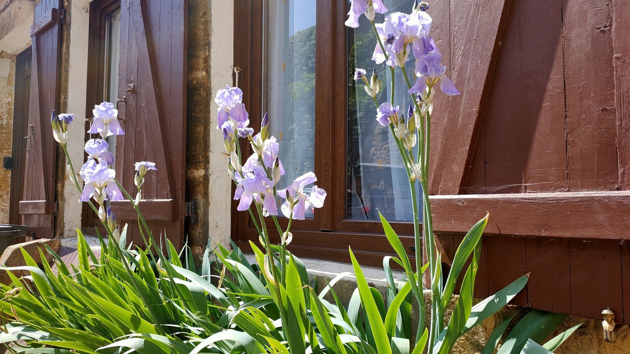 Photo of Outdoor in Mouzon