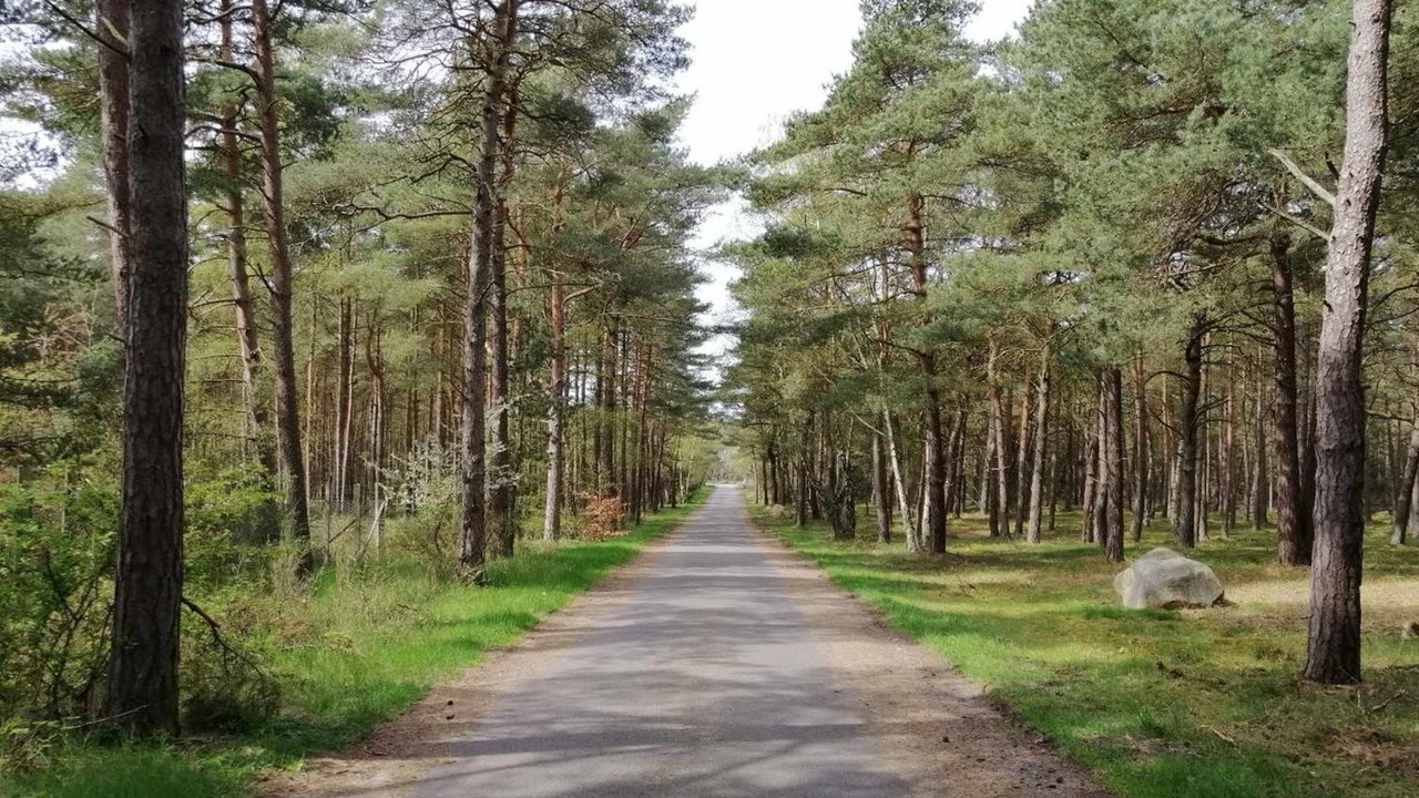 Photo of Outdoor in Ronne