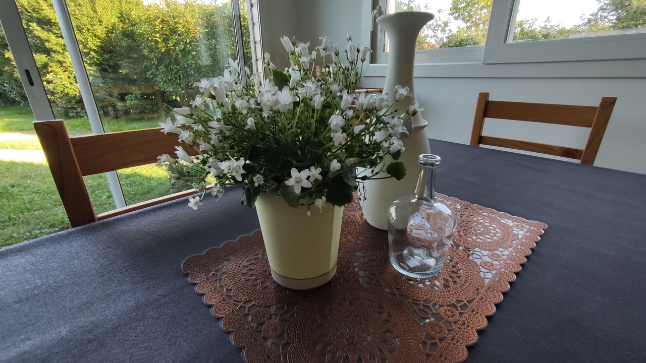 Photo of Others in Saint-Thurien