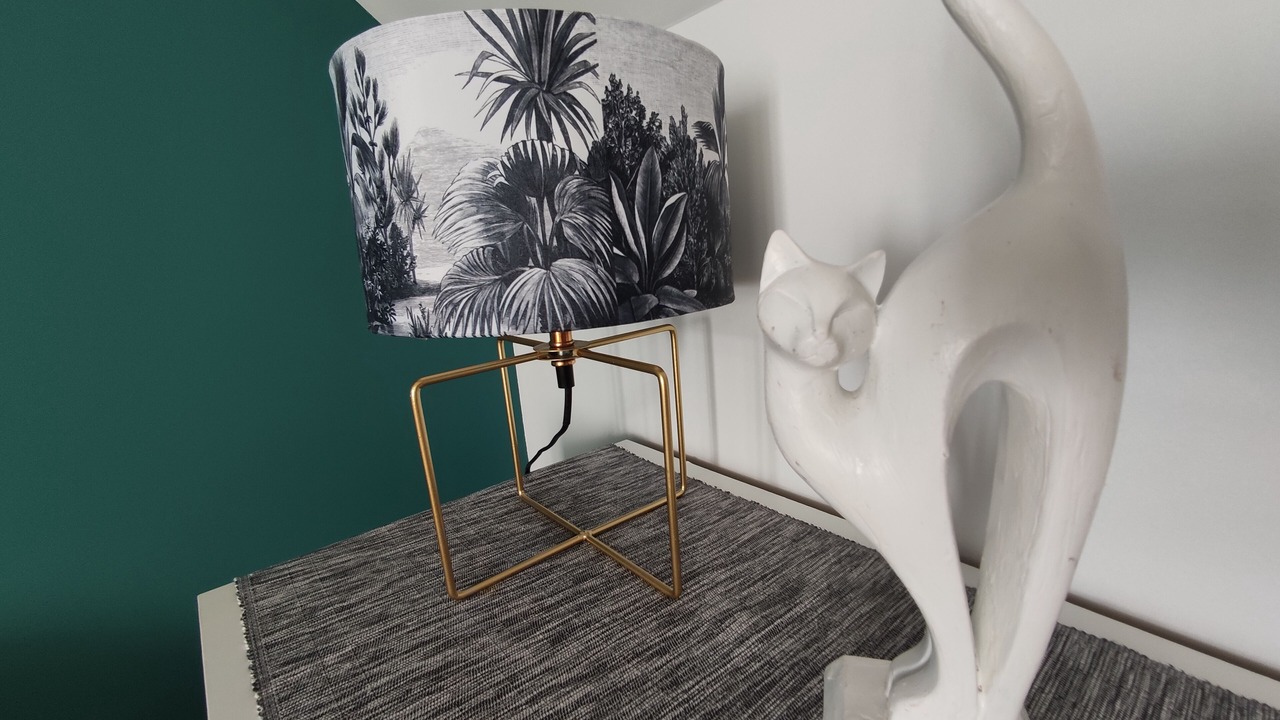 Photo of Others in Saint-Thurien