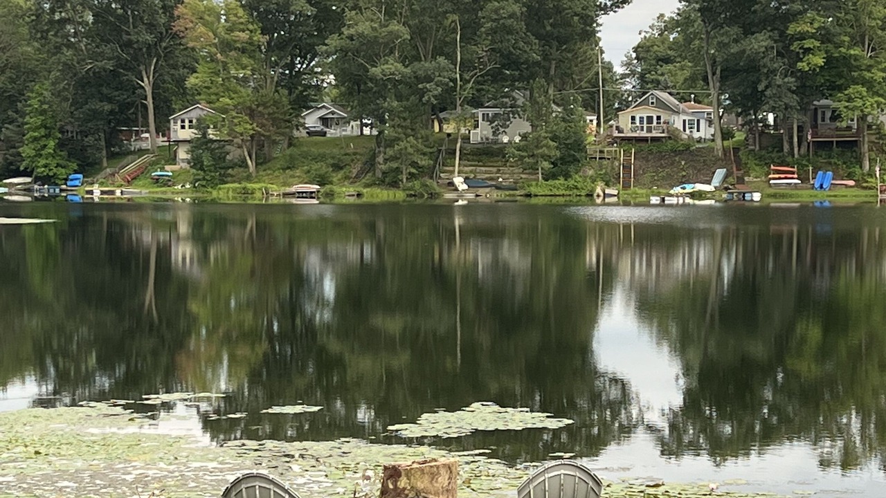 Photo of Outdoor in Cambridge