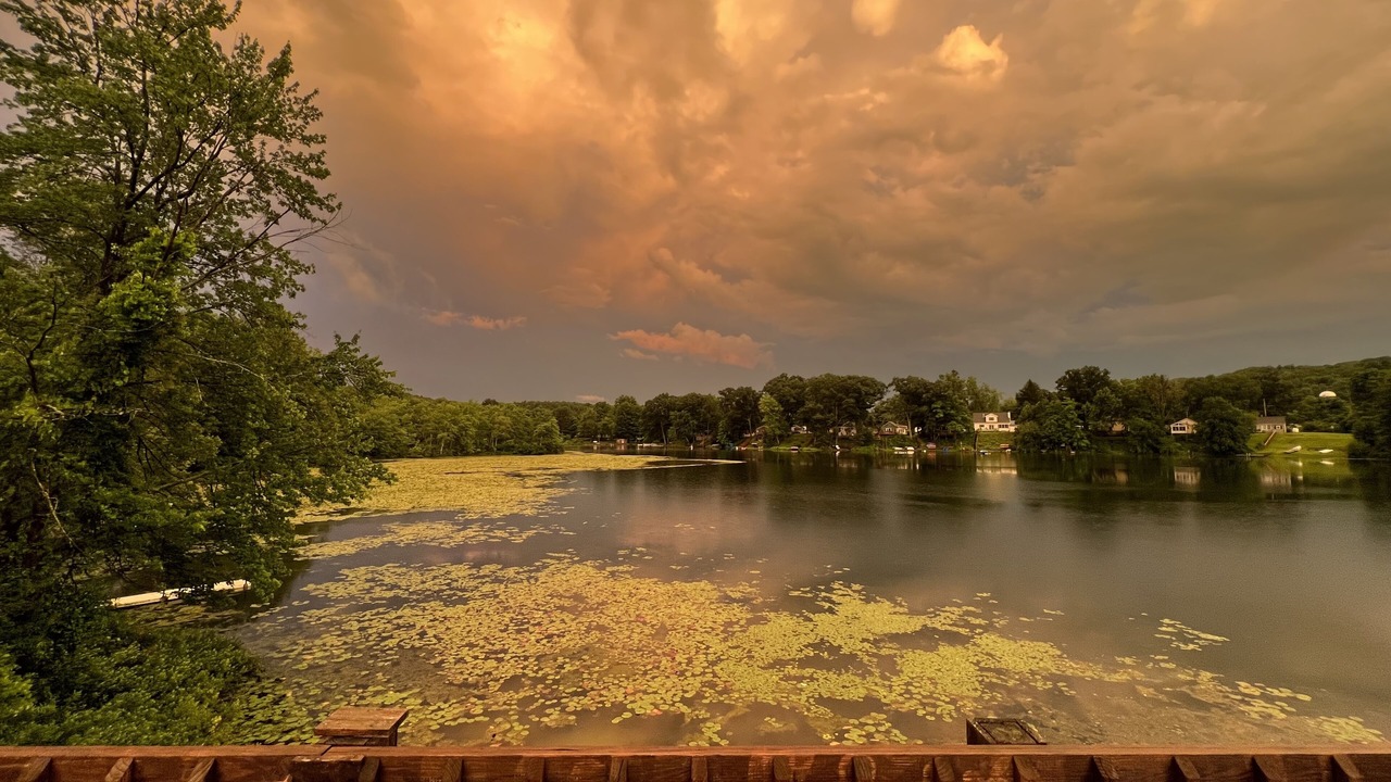Photo of Others in Cambridge