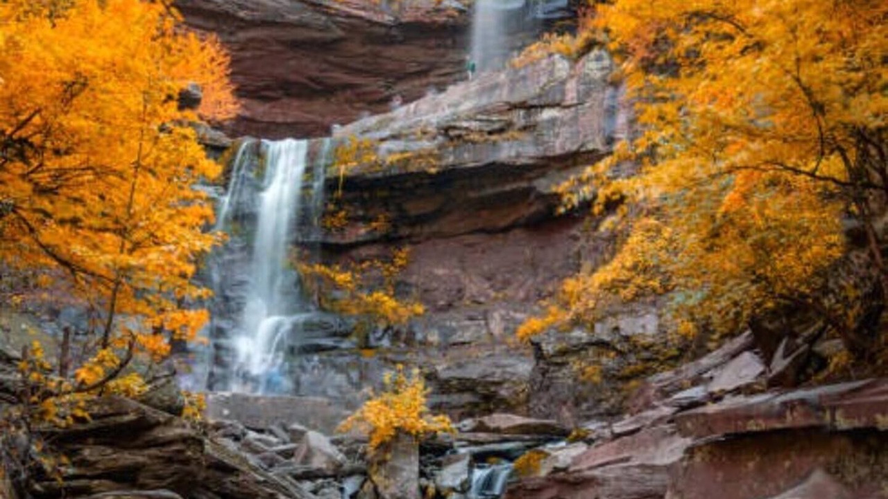 Photo of Outdoor in Hunter