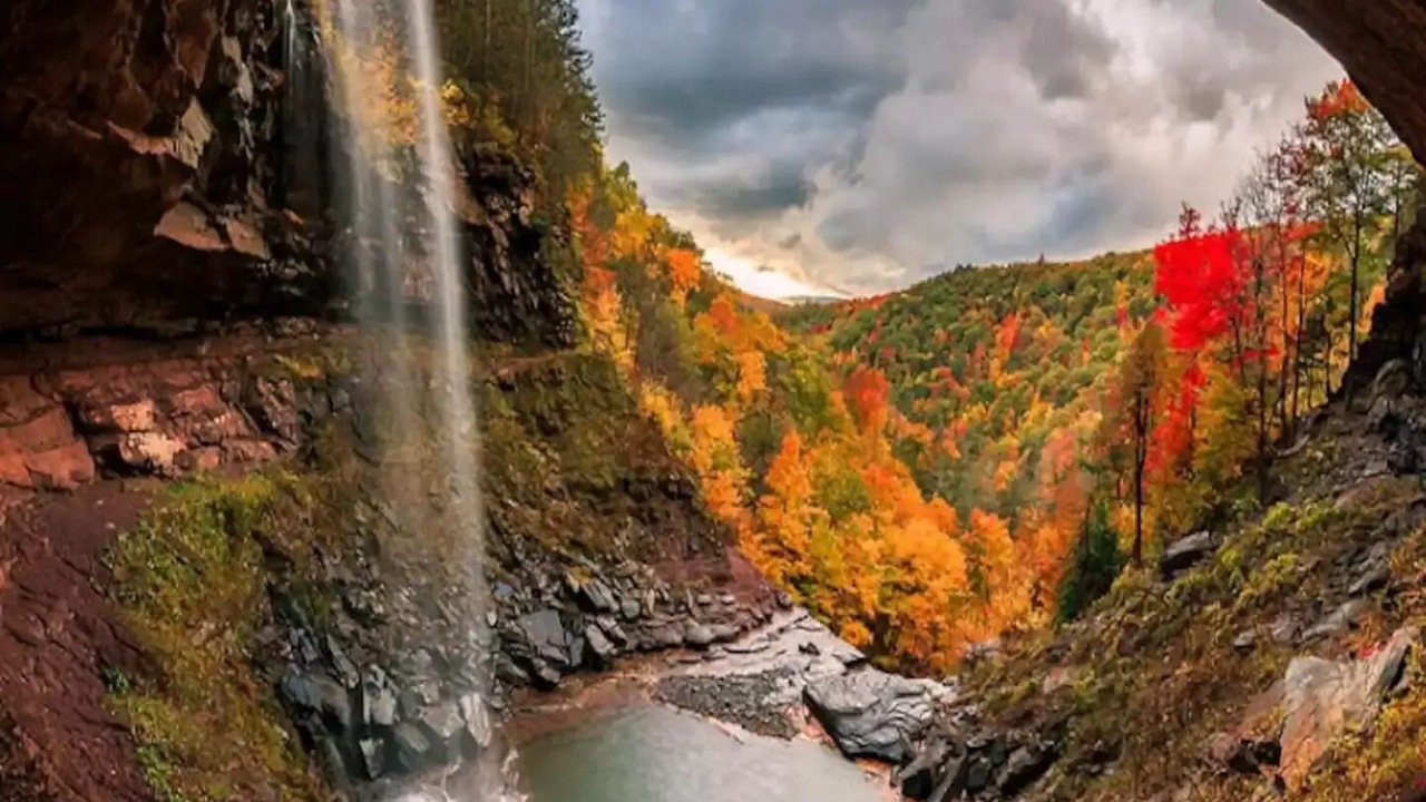 Photo of Outdoor in Hunter