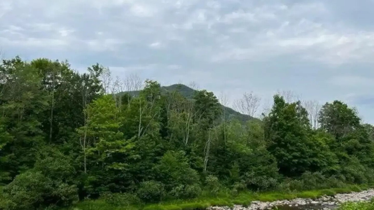 Photo of Outdoor in Hunter