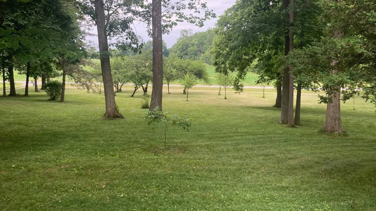 Photo of Outdoor in New Carlisle