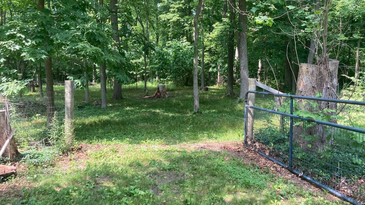 Photo of Outdoor in New Carlisle
