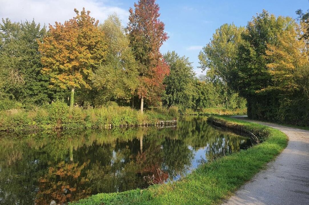 Photo of Others in Long