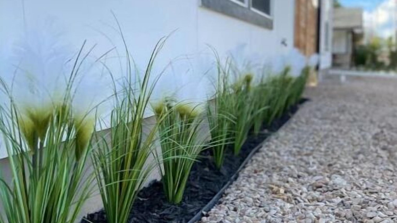 Photo of Outdoor in Lockhart