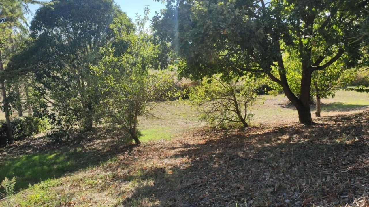 Photo of Outdoor in Lectoure