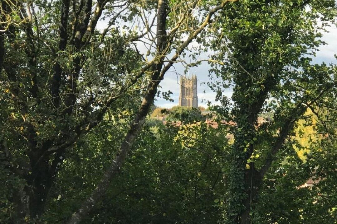 Photo of Others in Leigh upon Mendip