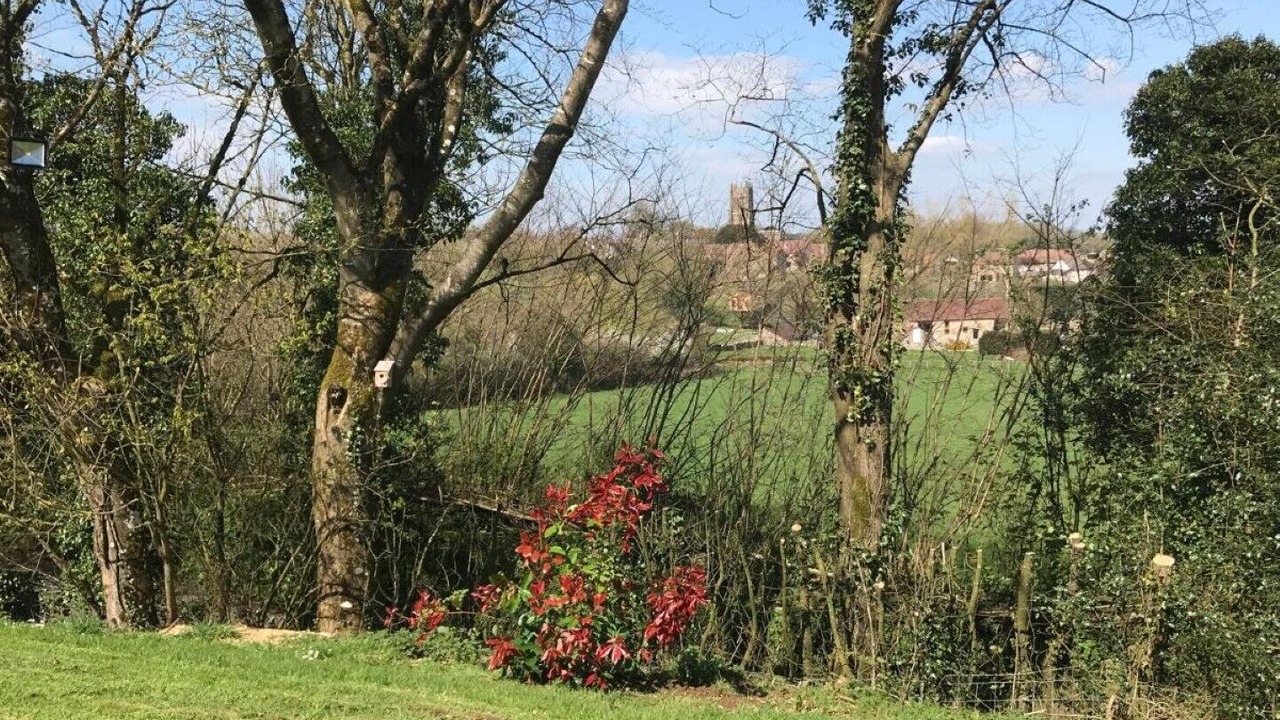 Photo of Outdoor in Leigh upon Mendip
