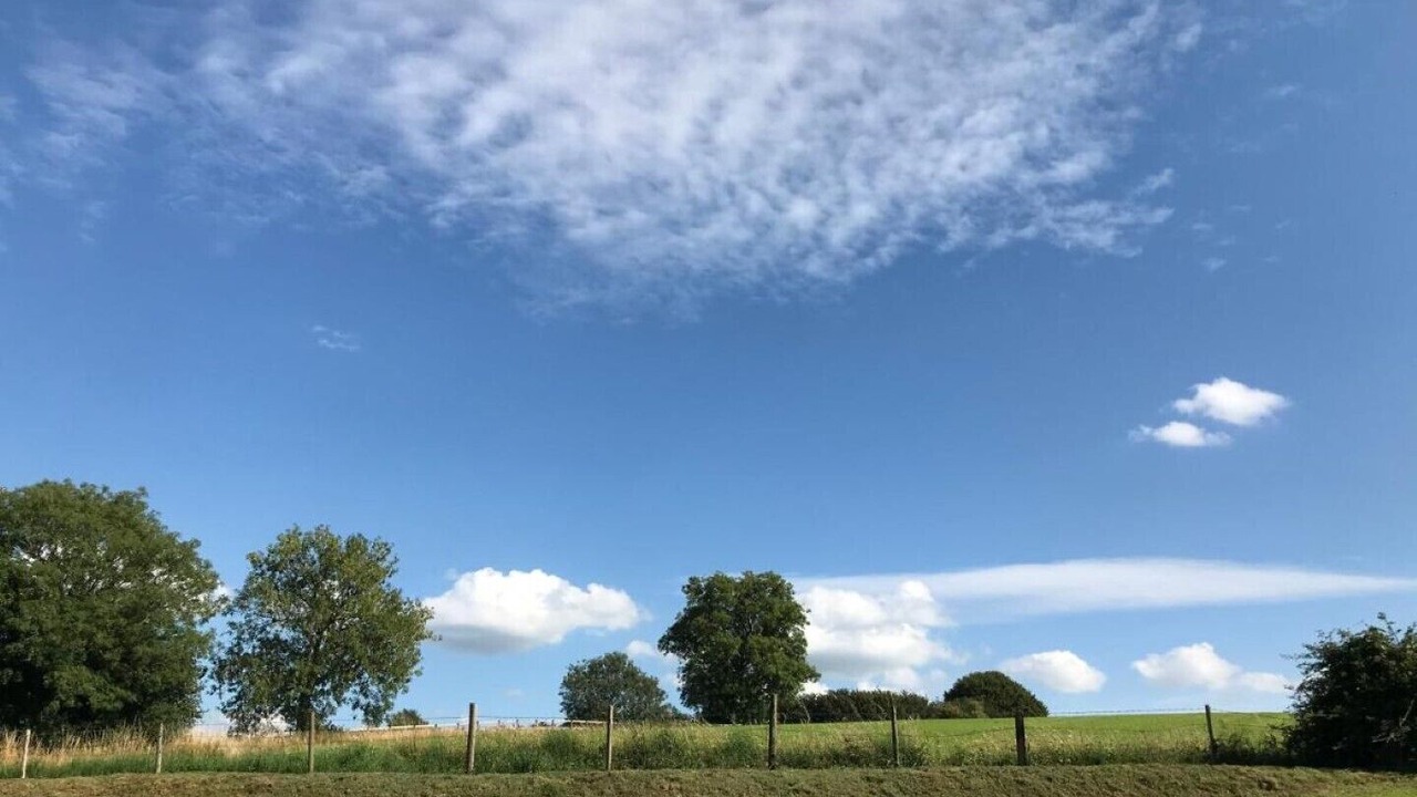 Photo of Others in Leigh upon Mendip