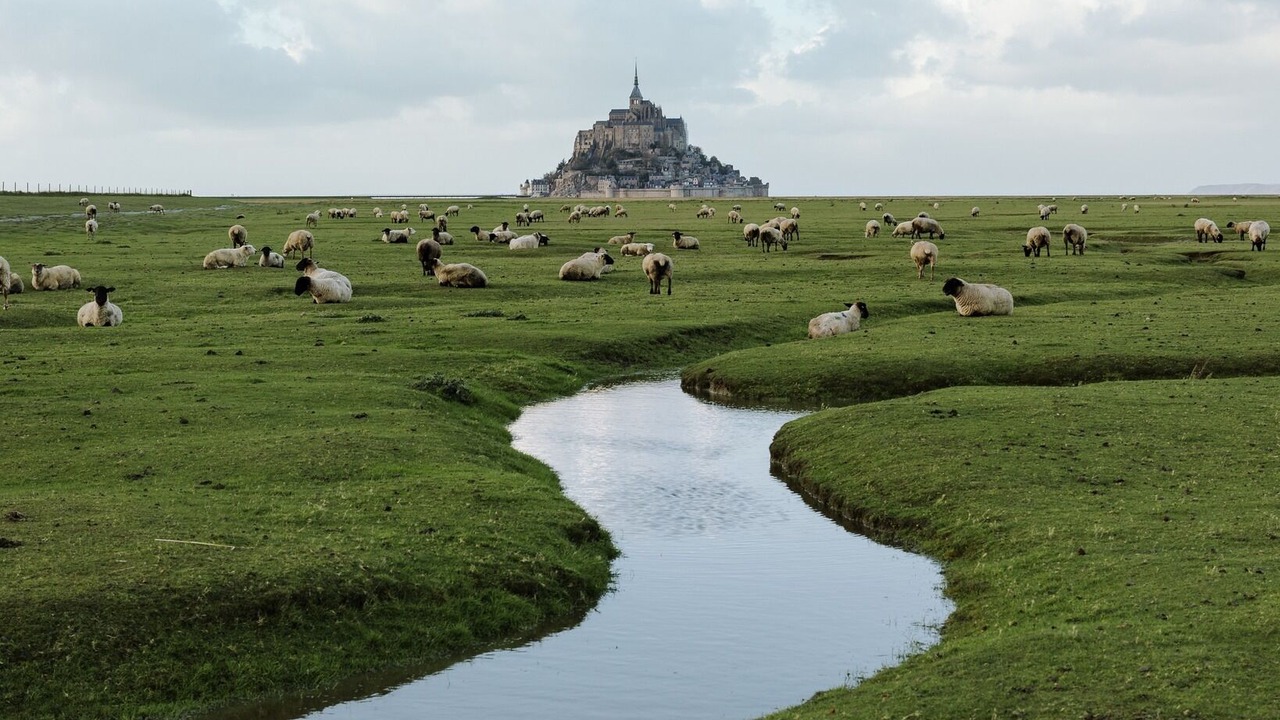 Photo of Others in Pirou