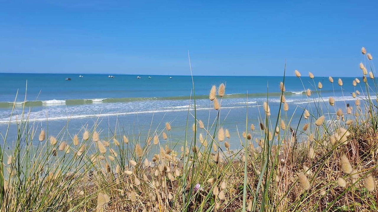 Photo of Others in Pirou