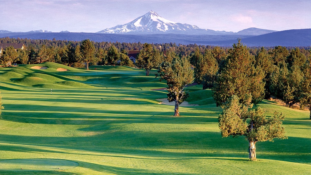 Photo of Others in Redmond