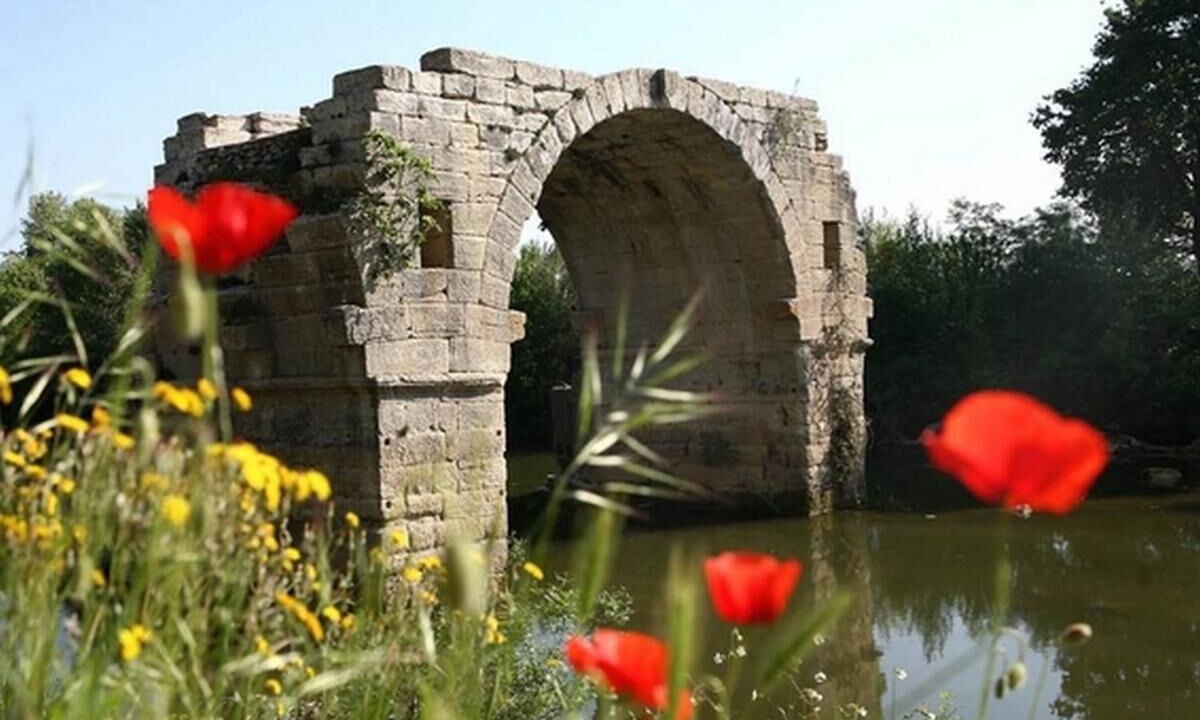 Photo of Others in Gallargues-le-Montueux