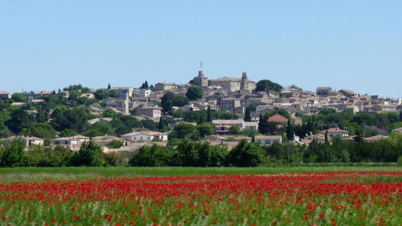 Photo of Others in Gallargues-le-Montueux