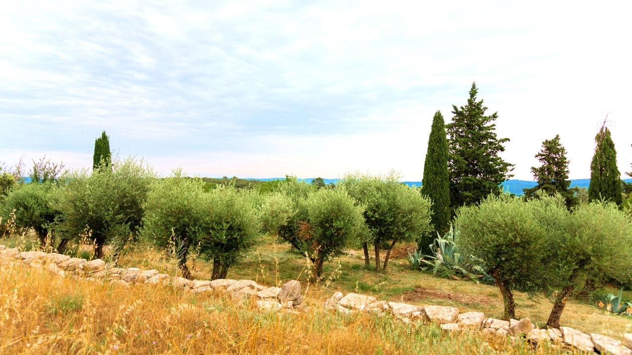 Photo of Others in Brouzet-les-Quissac