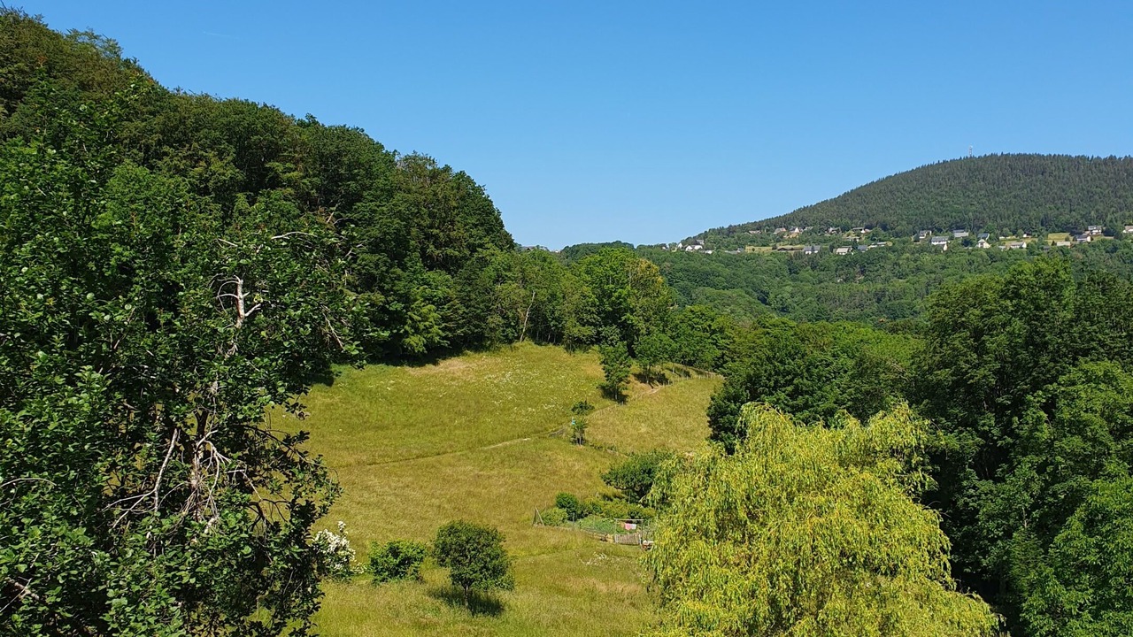Photo of Outdoor in Labaroche