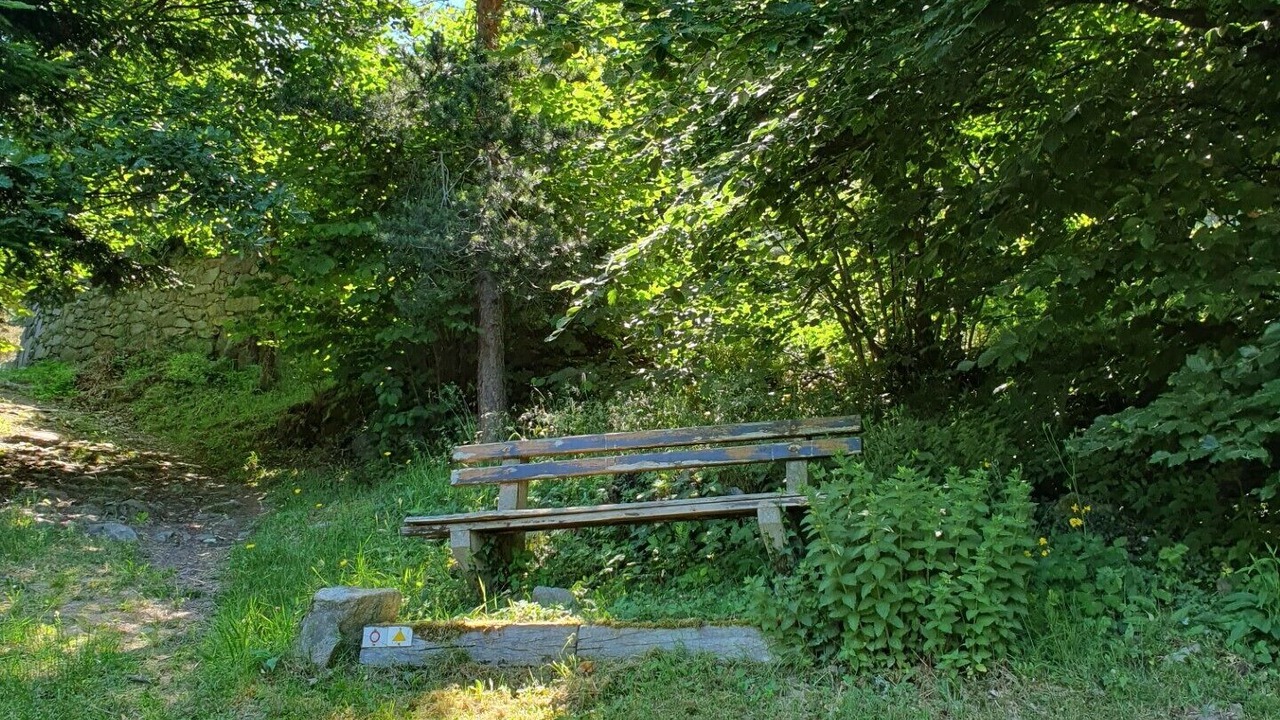 Photo of Outdoor in Labaroche