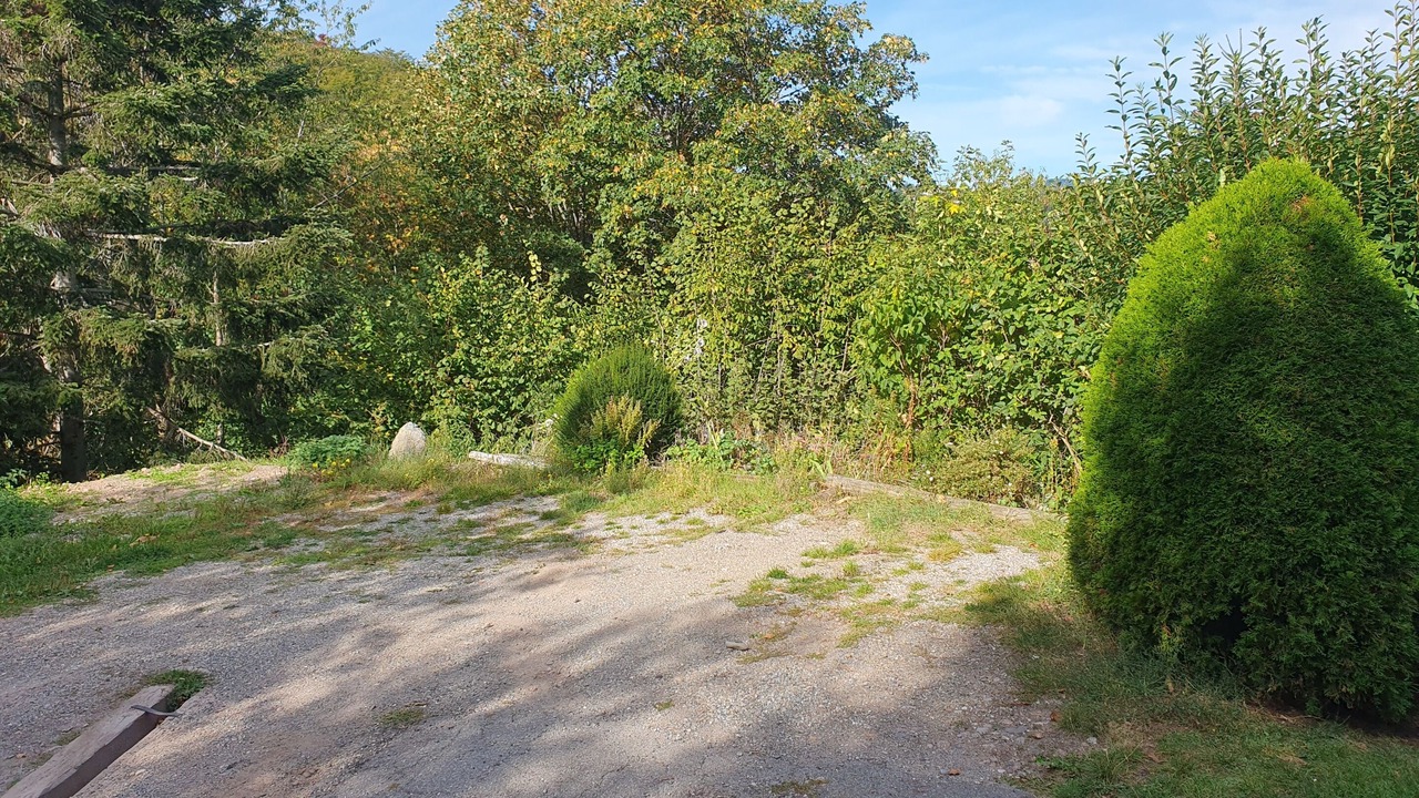 Photo of Outdoor in Labaroche