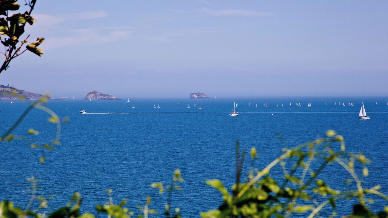 Photo of Others in Roundham