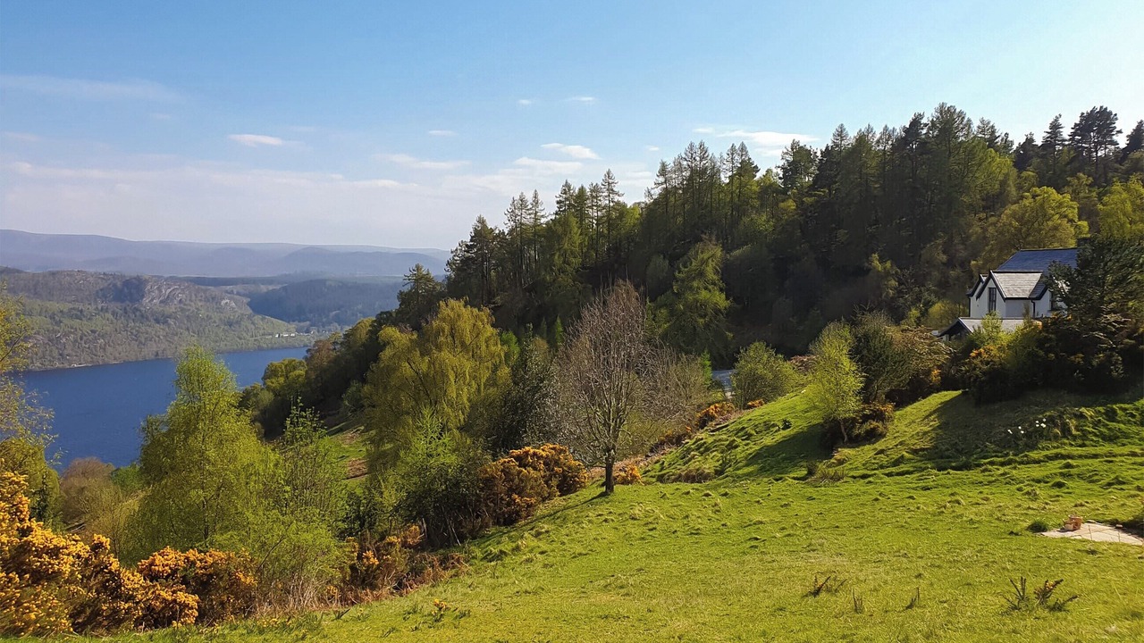 Photo of Others in Lewiston