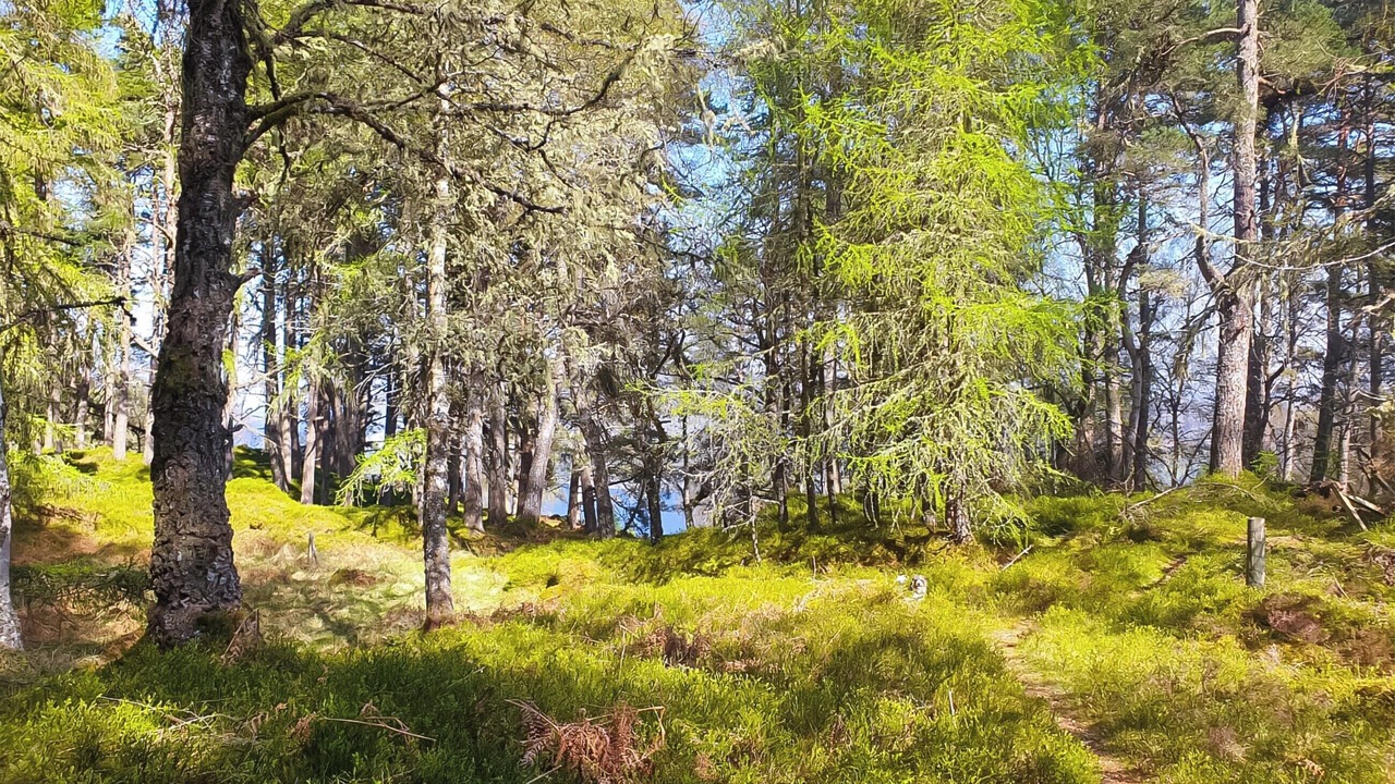 Photo of Others in Lewiston