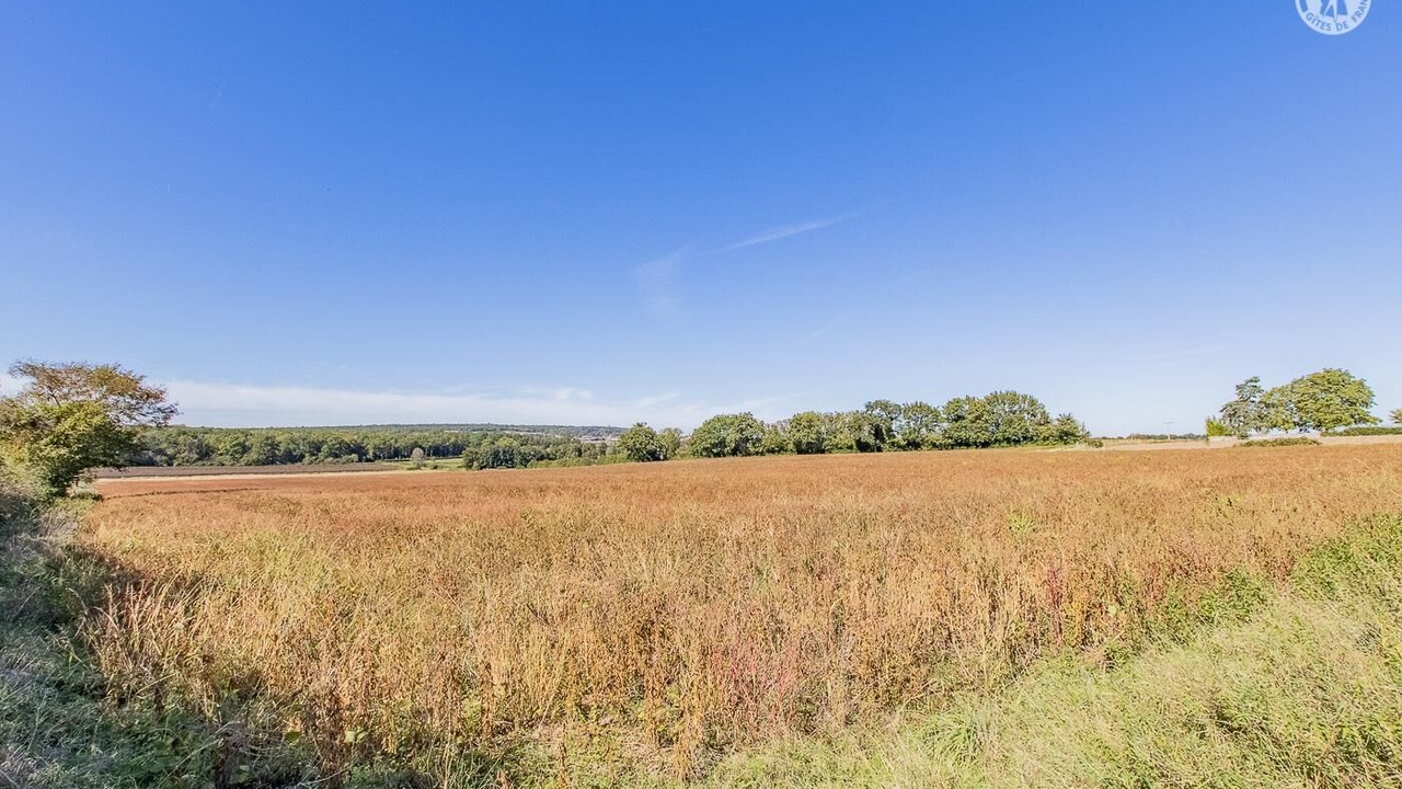 Photo of Outdoor in Chapaize