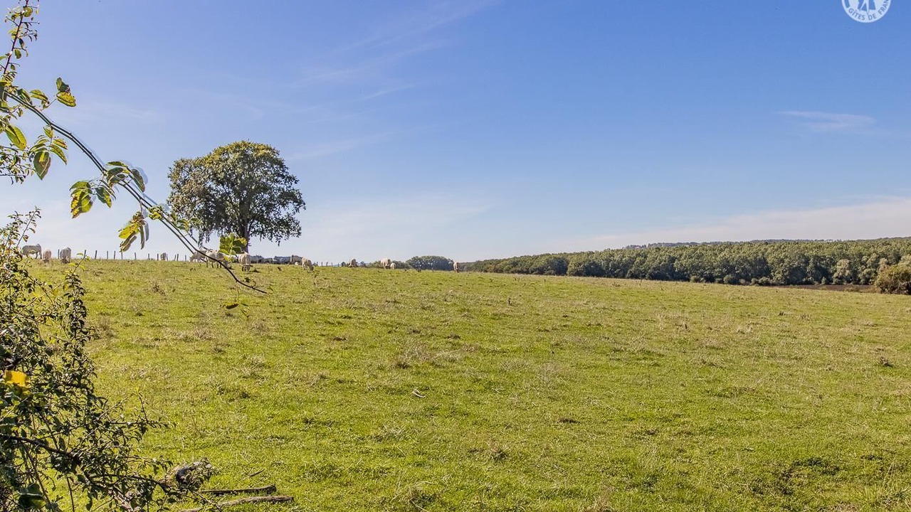 Photo of Outdoor in Chapaize