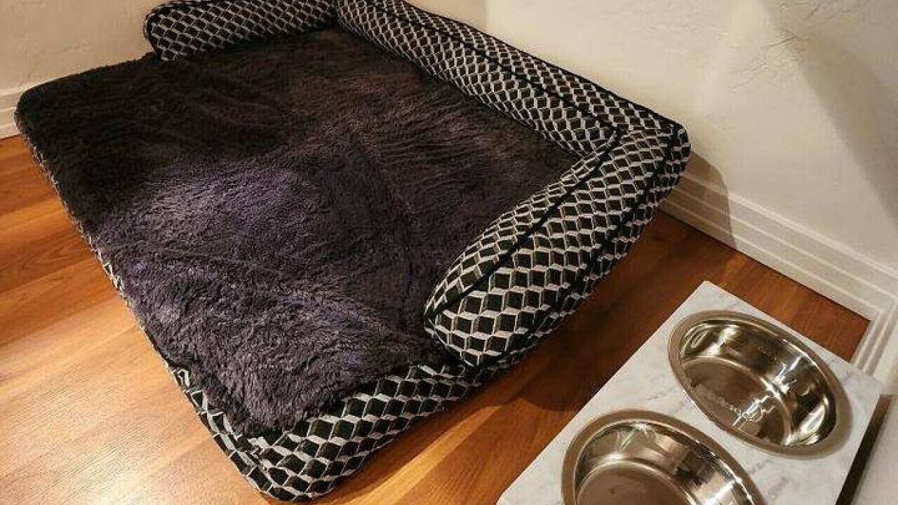 Photo of Others in Driggs