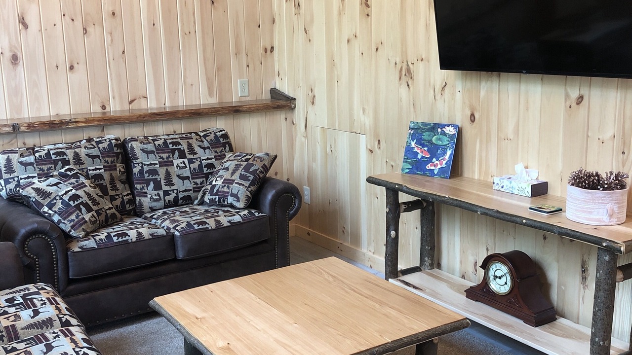 Photo of Livingroom in Indian Lake