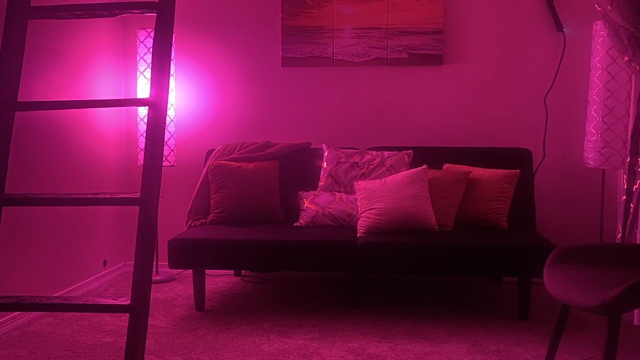 Photo of Livingroom in Red House