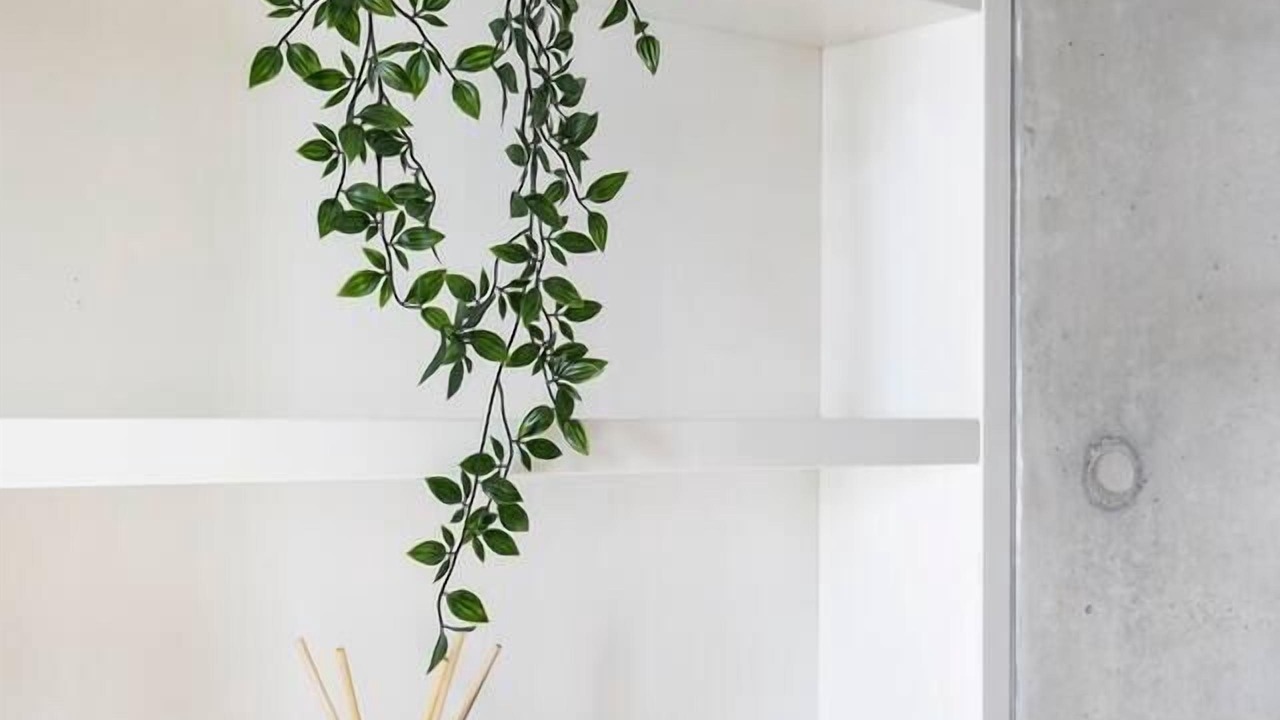 Photo of Others in Alexandria