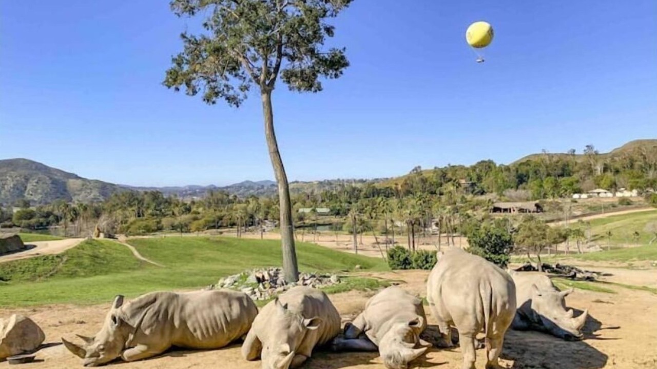 Photo of Outdoor in Vista