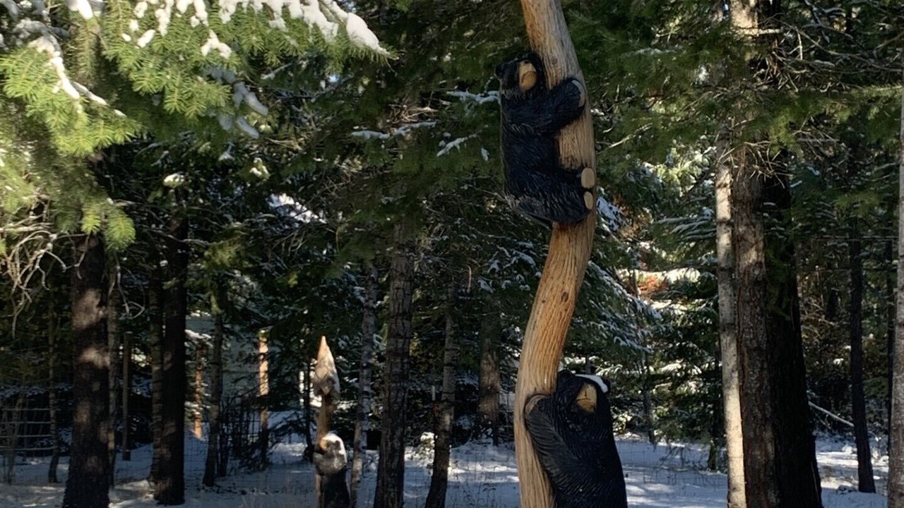 Photo of Others in Loon Lake