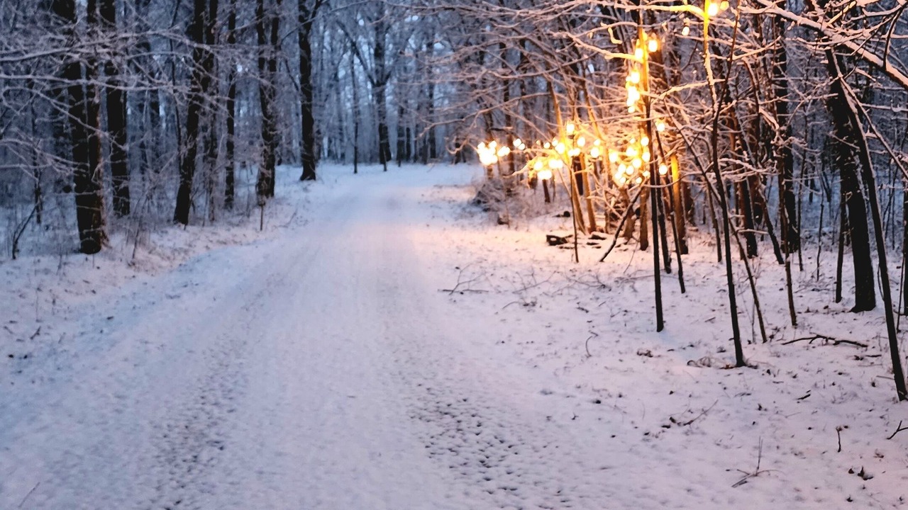 Photo of Others in Highland  Vermillion County