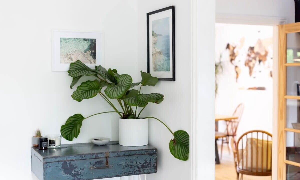 Photo of Others in Bosham