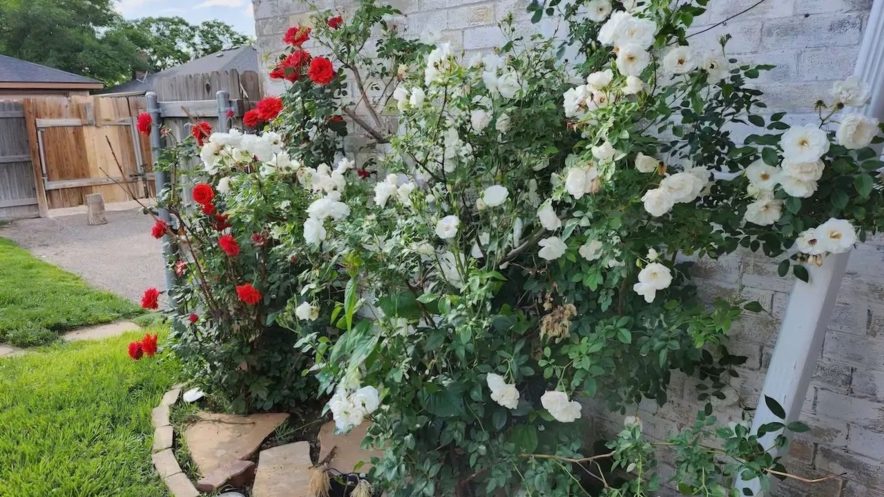 Photo of Outdoor in Amarillo