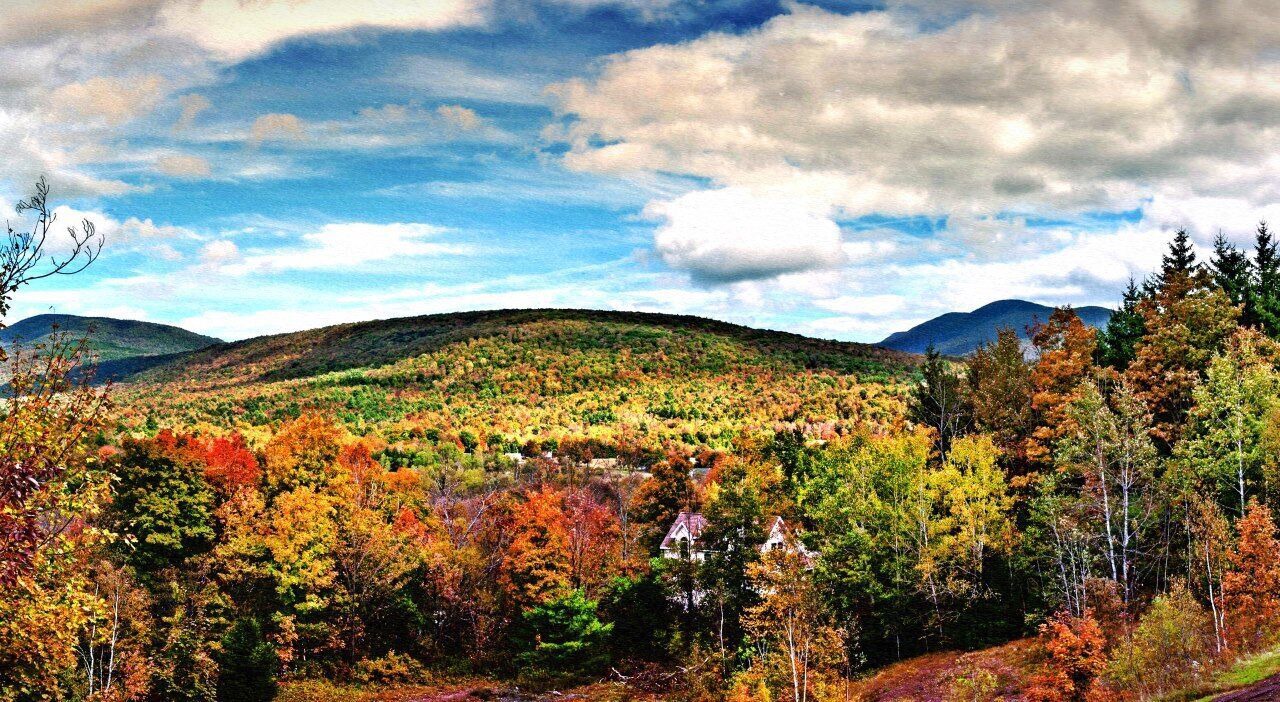 Photo of Outdoor in Windham