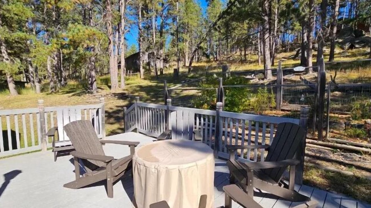 Photo of Patio Balcony in Custer