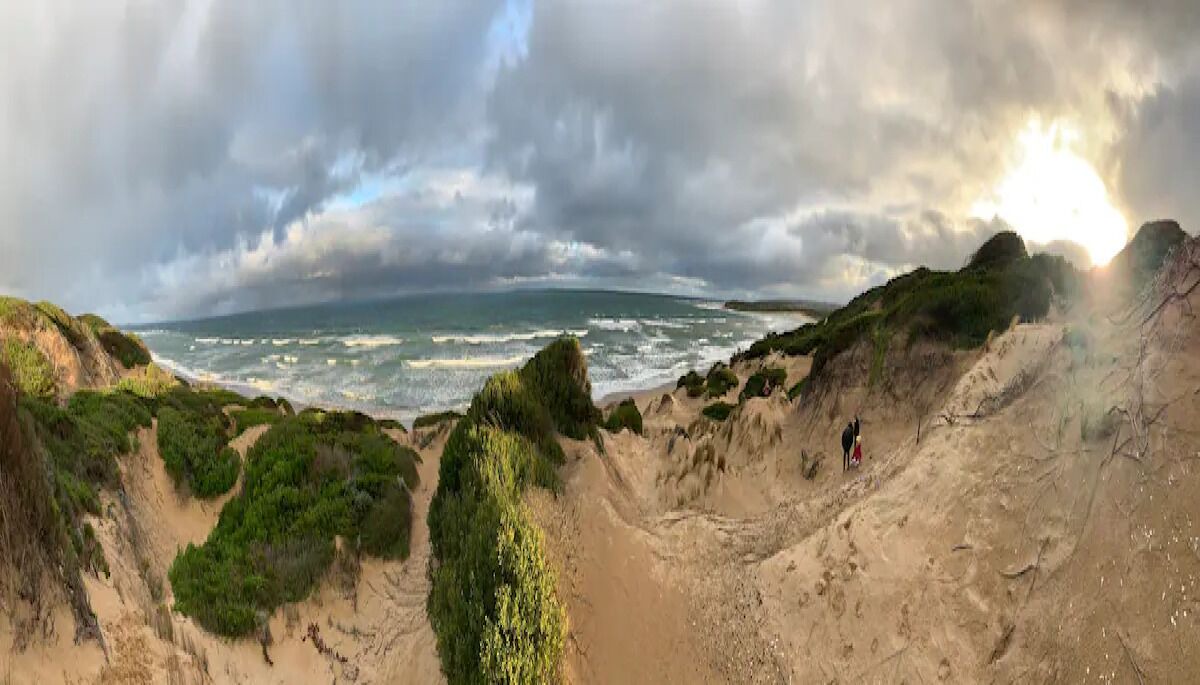 Photo of Others in Moolap