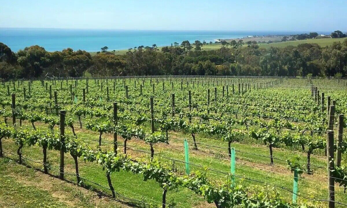 Photo of Others in Moolap