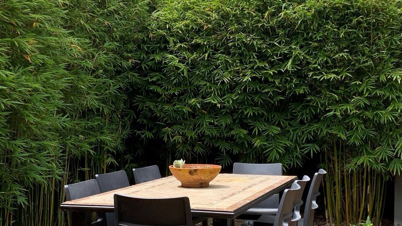 Photo of Outdoor in Mornington